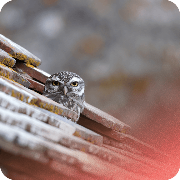 Qu'est-ce que la LCB-FT ? 