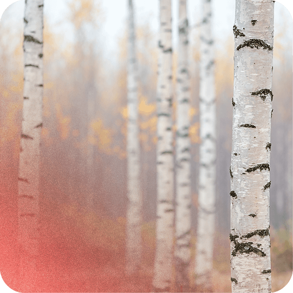 À qui s'adresse la LCB-FT ? 