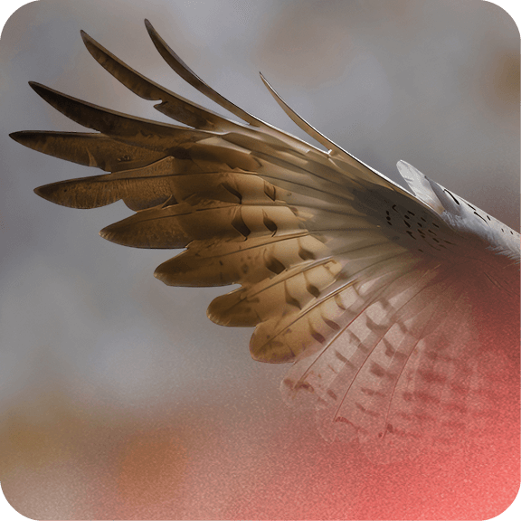 Une formation LCB-FT pour la banque