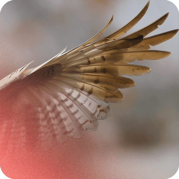 Une formation LCB-FT pour l'assurance