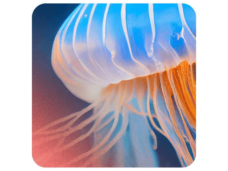 ICÉDAP : 35 ans d’expertise au service de la pédagogie utile 